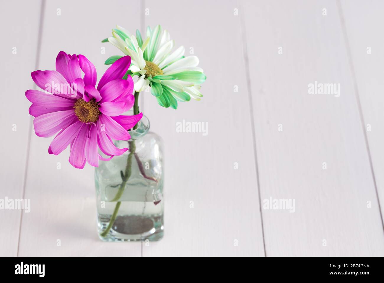 Rosa und Grüne Gänseblümchen in Vase auf weißem Holztisch Stockfoto