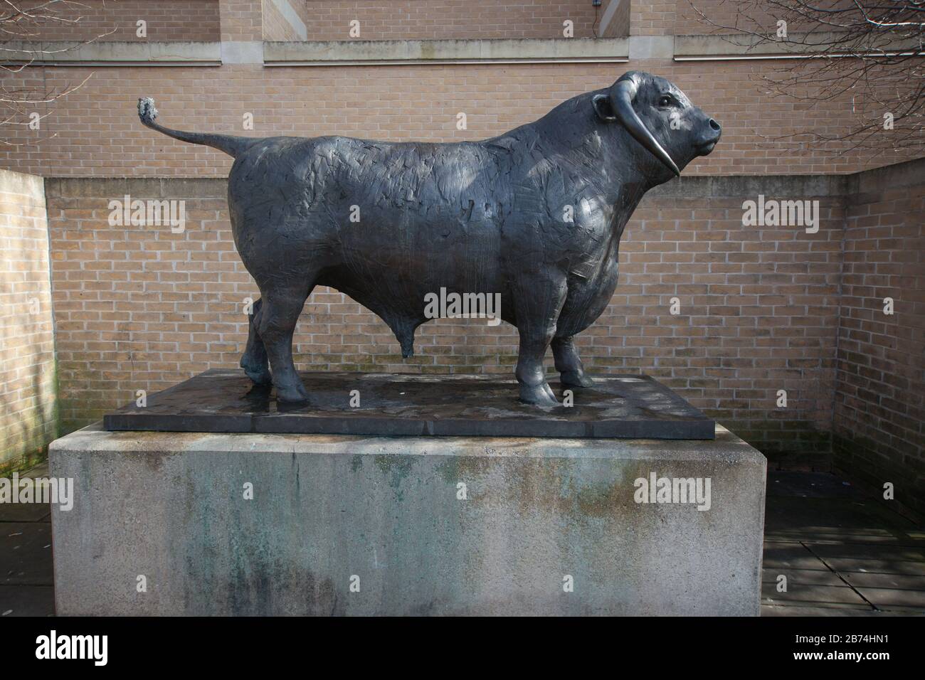 Eine Statue einer Ox außerhalb Der Said Business School in Oxford UK Stockfoto