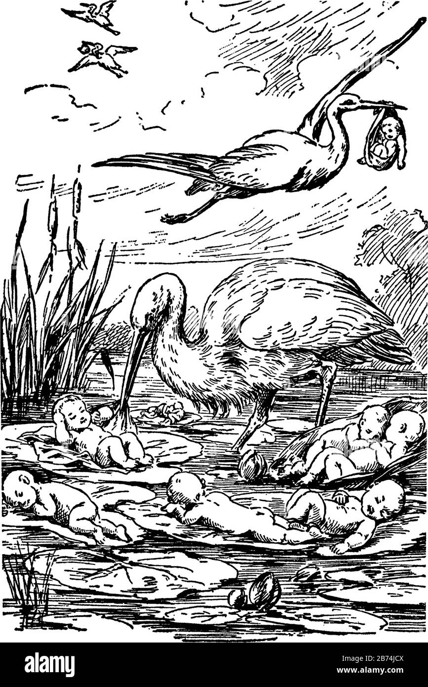 Störche, die Babys mit sich führen, auf Wasser schweben, Vintage-Linien-Zeichnung oder Gravier-Illustration Stock Vektor