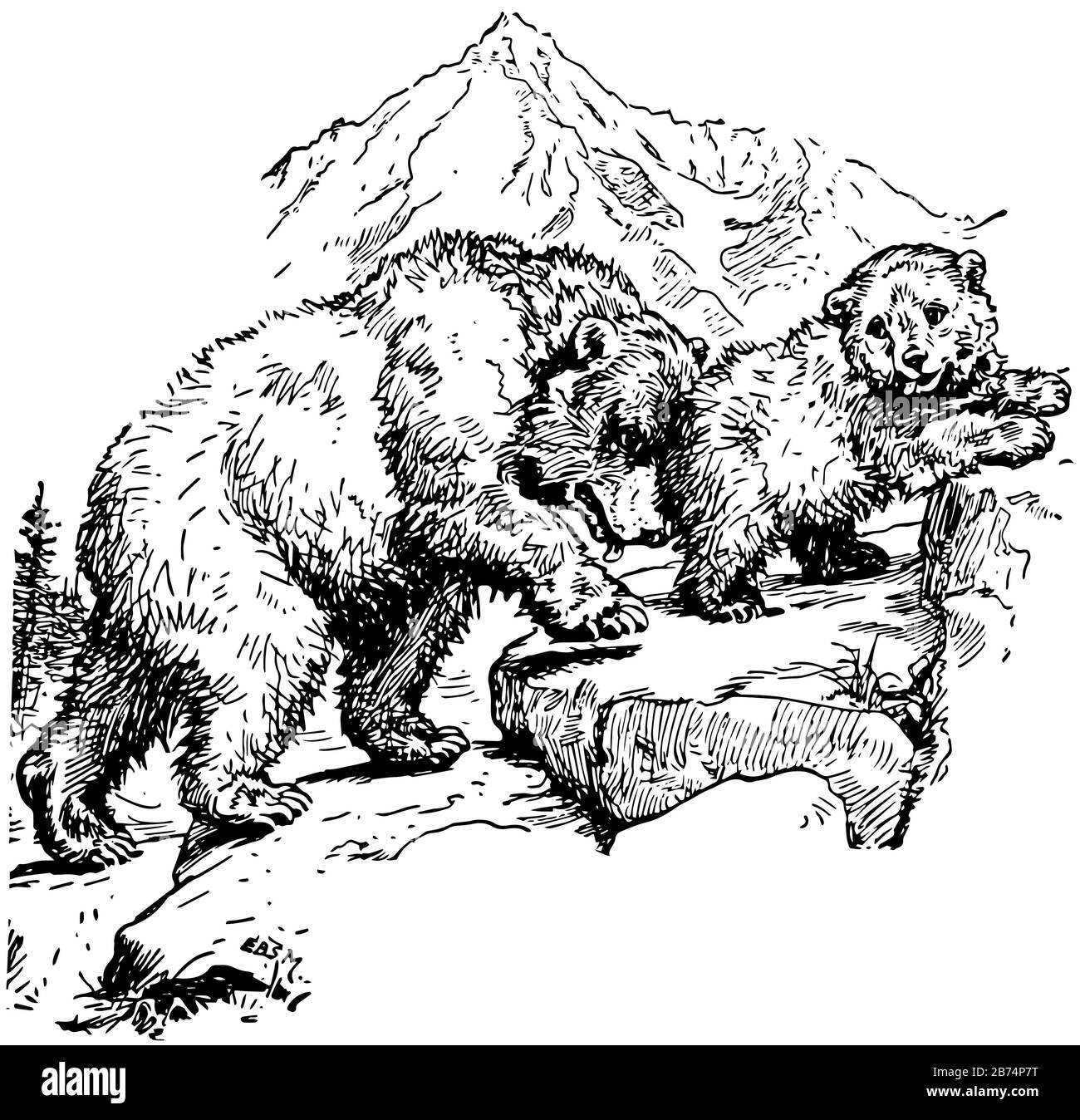 Zwei Bären klettern auf den Hügel, Vintage-Linien-Zeichnung oder Gravier-Illustration Stock Vektor