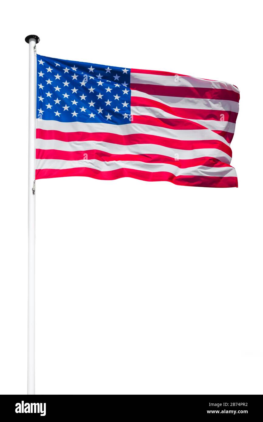Amerikanische Flagge zeigt US Stars und Streifen, die im Wind vor weißem Hintergrund weht Stockfoto