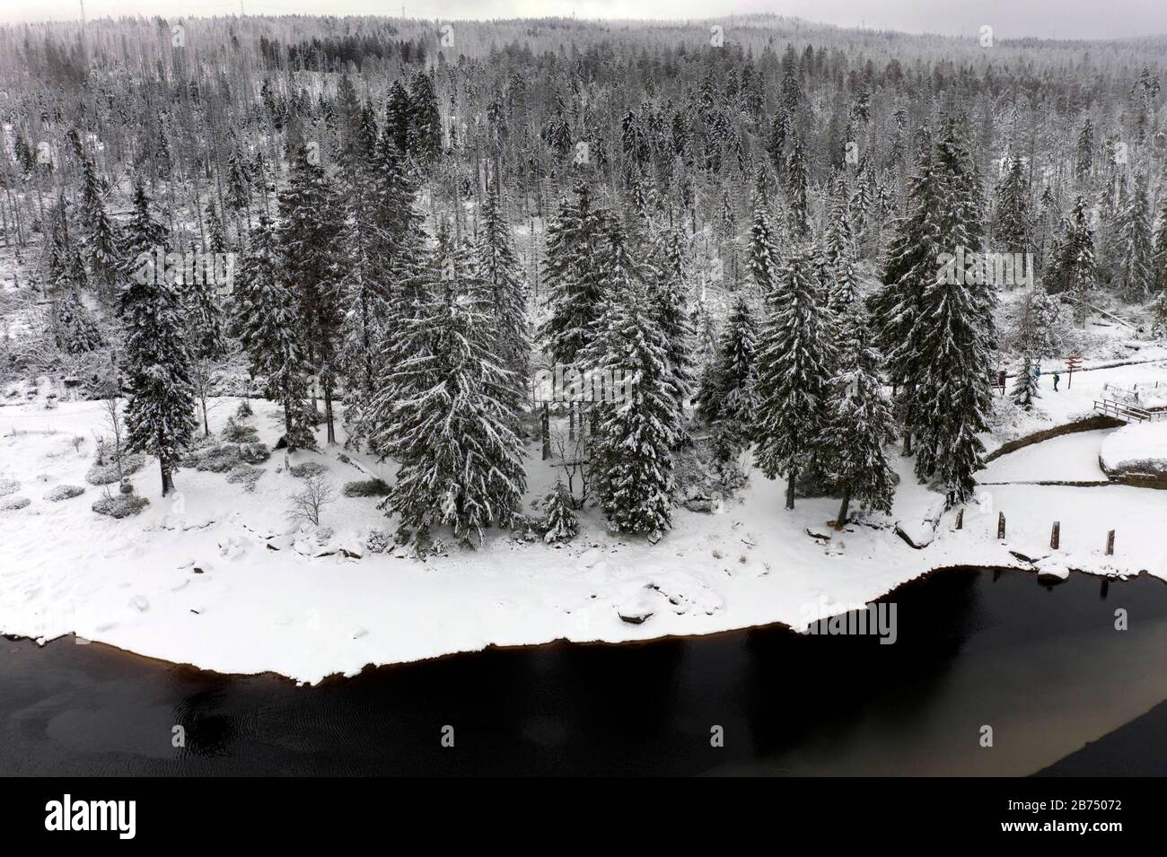 Winterflugbild, Baumkuppen in einem Waldgebiet bei Sankt Andreasberg im Bundesland Niedersachsen [automatisierte Übersetzung] Stockfoto