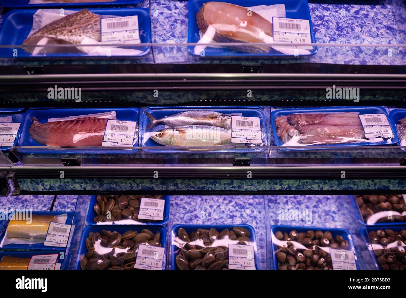 26.12.2018, Singapur, Republik Singapur, Asien - in Frischhaltefolie verpackte Fische liegen auf dem Kühlregal eines Supermarktes. [Automatisierte Übersetzung] Stockfoto