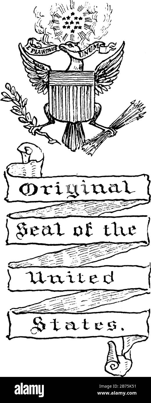 Das Originalsiegel der Vereinigten Staaten von Amerika, dieses Siegel hat einen Schild an der Brust und hält olivgrüne Ast und Pfeile, oben Sterne, Thi Stock Vektor