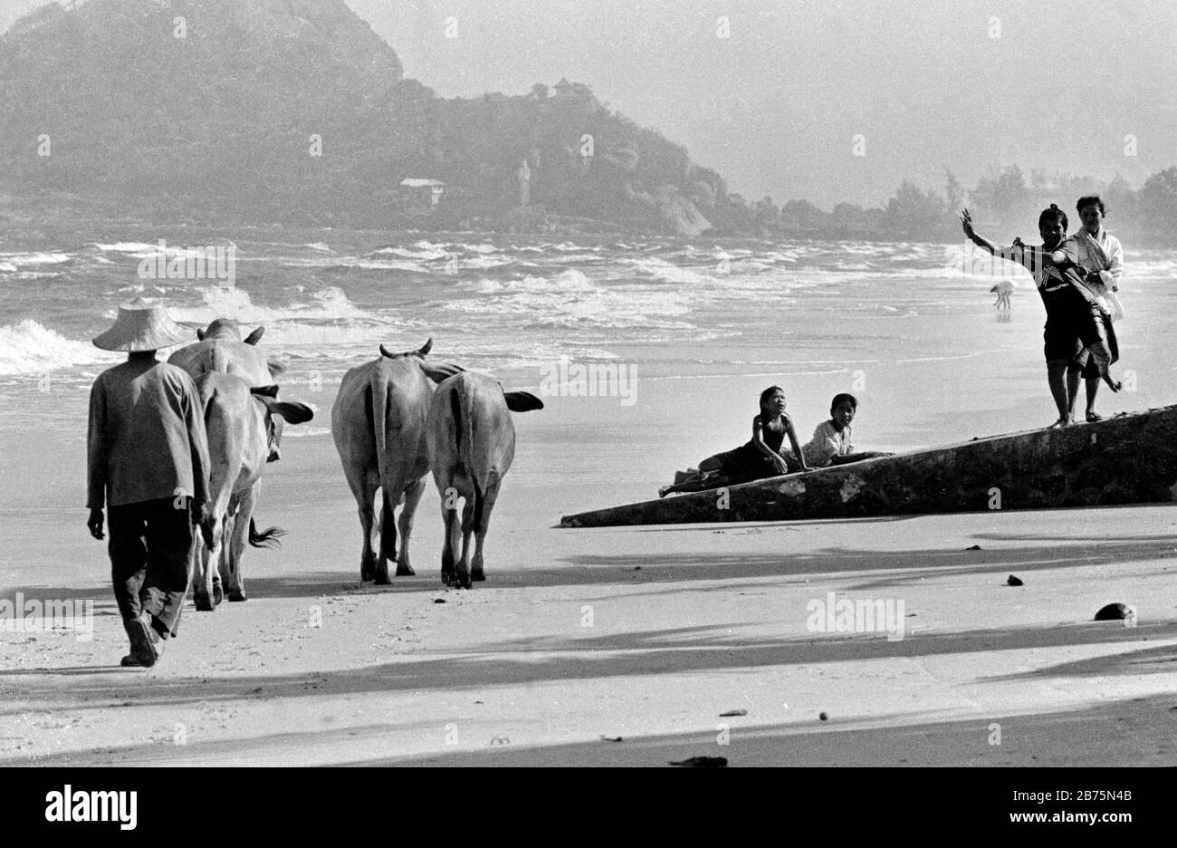 Ein Bauer mit seinem Rind am Strand von Hua hin, Thailand, am 18.12.1989. Im Hintergrund sieht man eine Buddha-Figur und einen Tempel. In den 8er Jahren waren kaum Touristen an den Stränden Thailands unterwegs. [Automatisierte Übersetzung] Stockfoto