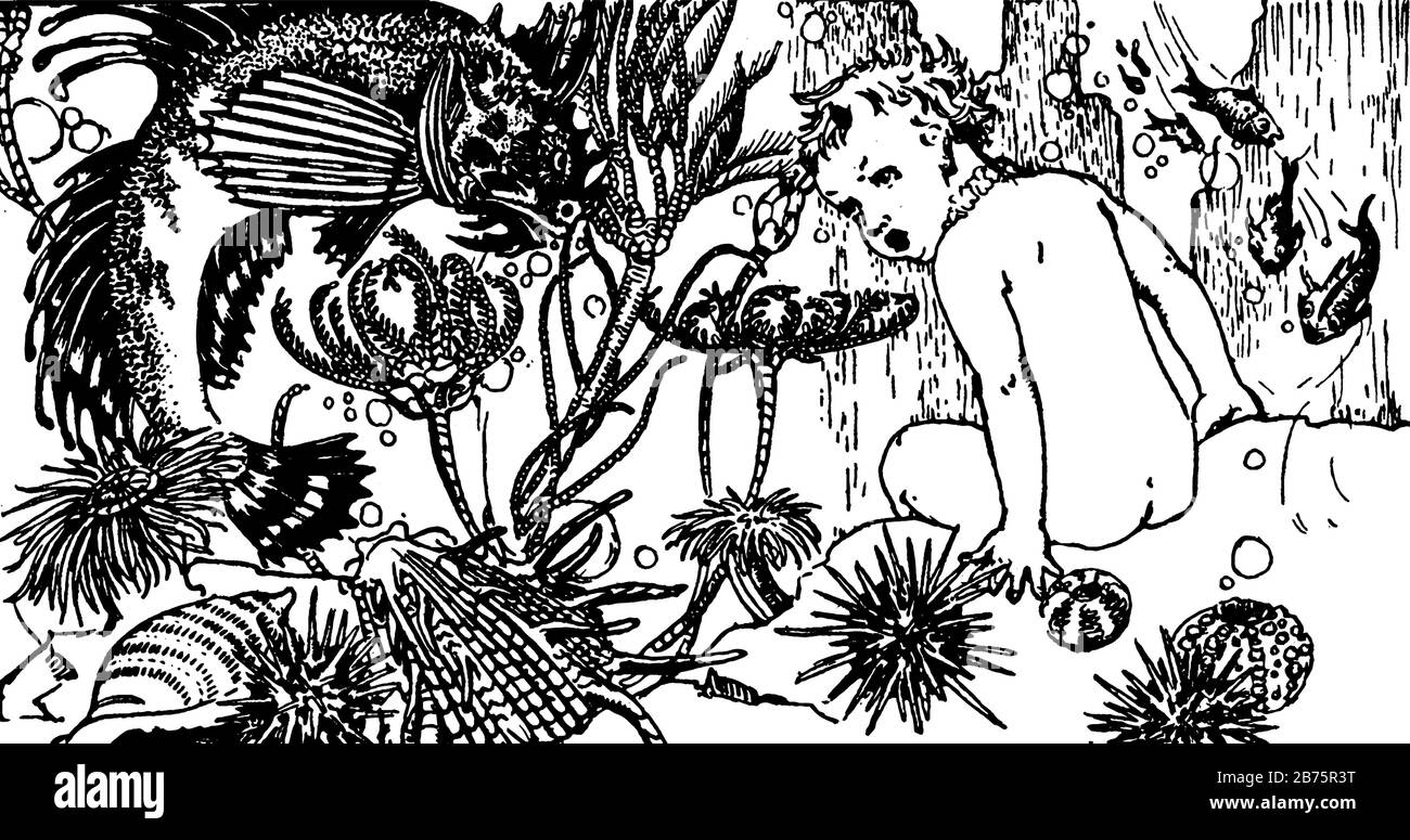 Ein Kind und fischt im Wasser, Vintage-Linien-Zeichnung oder Gravier-Illustration Stock Vektor