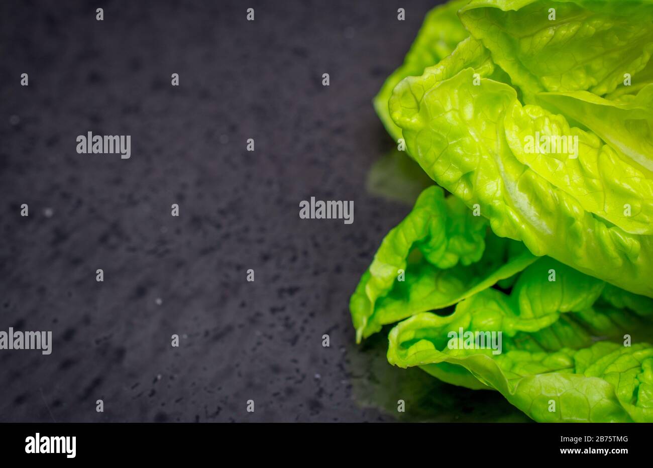 Grüner, knuspriger Salat auf schwarzem Hintergrund Stockfoto