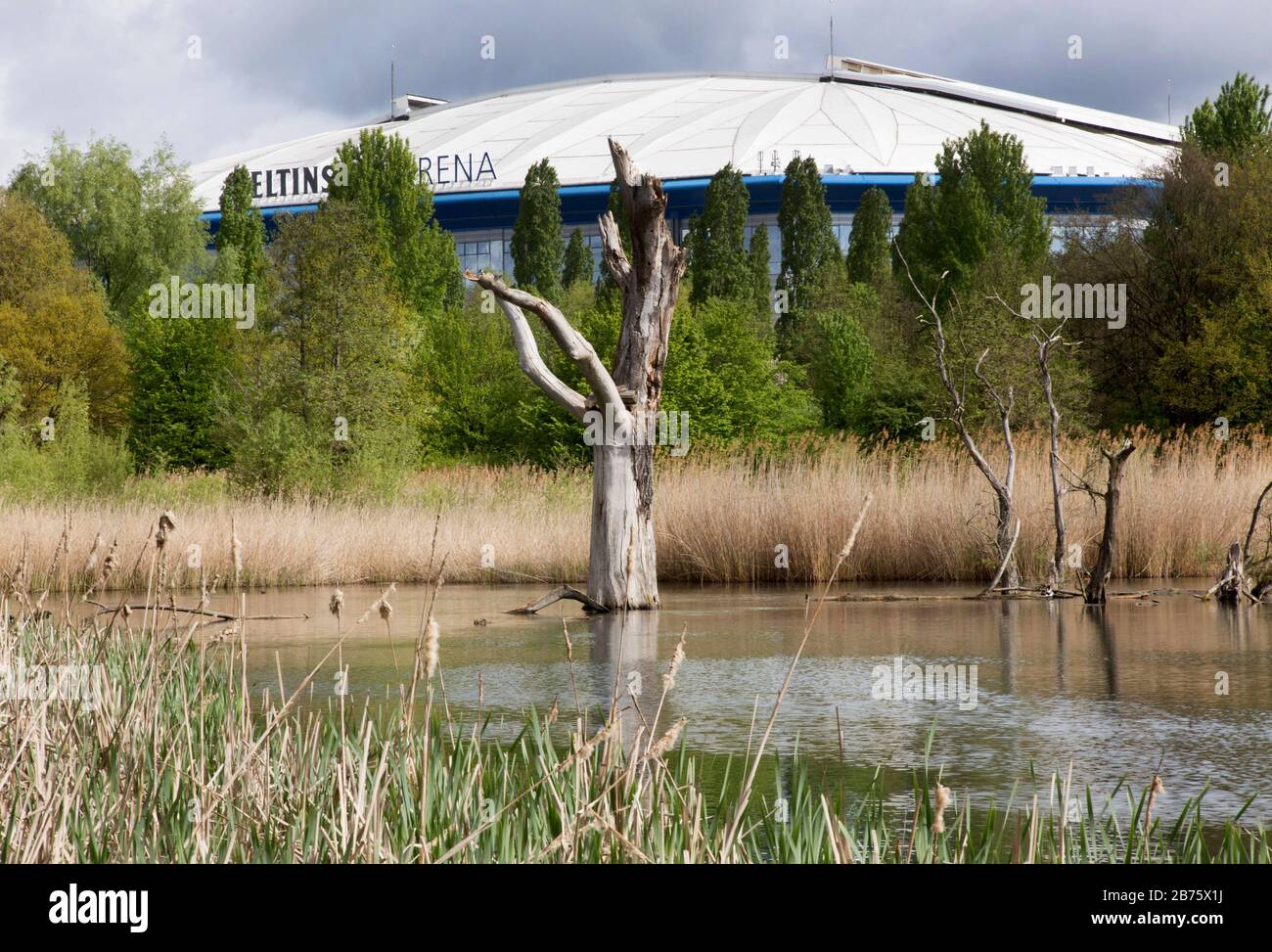 Tote Bäume stehen am 23.04.2017 in einem Biotop vor der Schalke 04 Arena in Gelsenkirchen. Vielleicht ist diese Szene ein Symbol für die ständige auf und ab von Schalke 04. [Automatisierte Übersetzung] Stockfoto