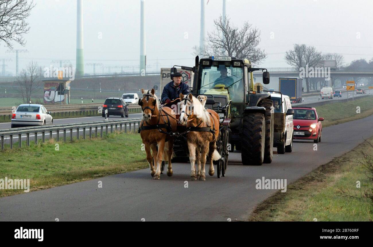 Am 23.11.2016 fährt ein Traktor hinter einem Pferd und einer Kutsche auf einer vielbefahrenen Hauptstraße in Nauen. [Automatisierte Übersetzung] Stockfoto