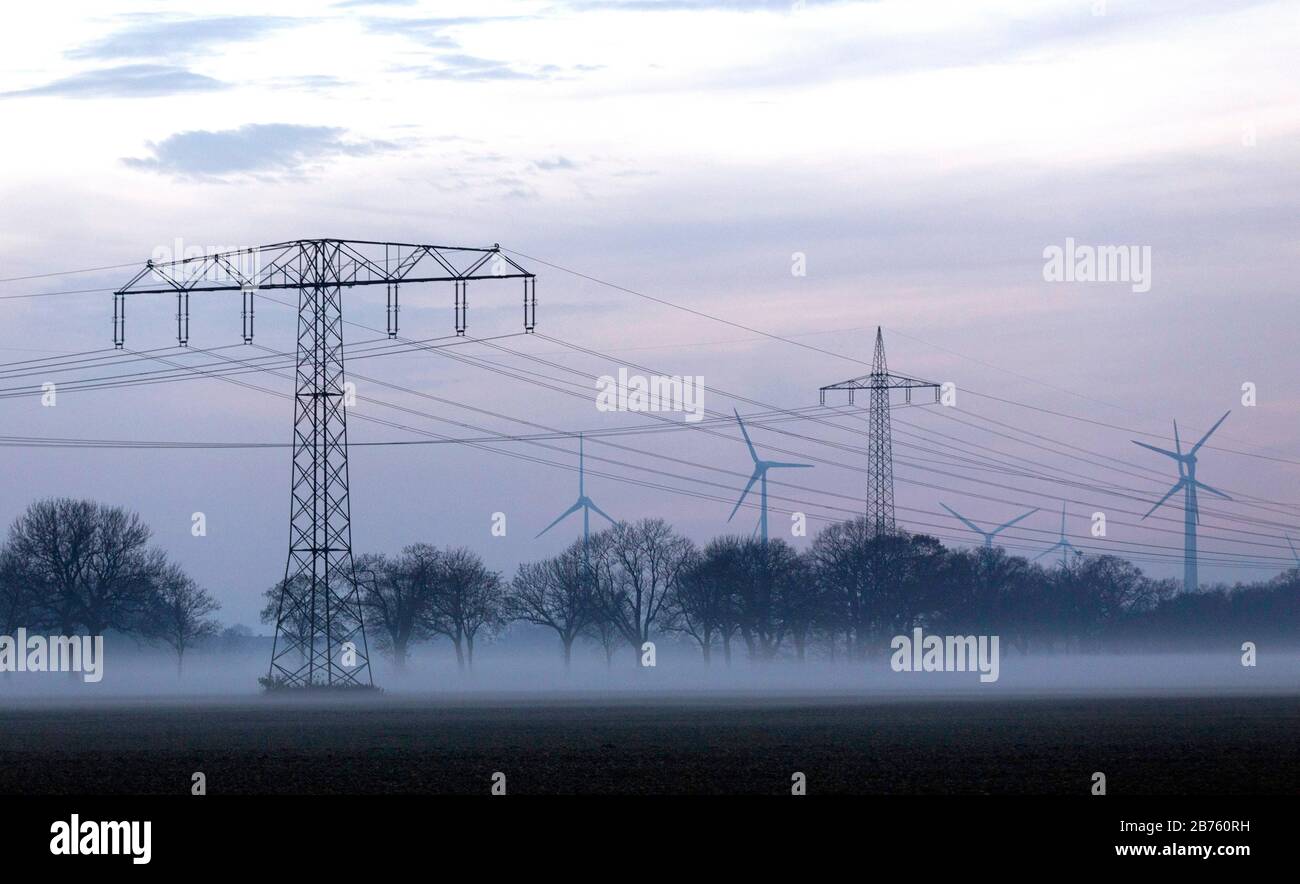 Stromleitungen und Strompfosten im Nebel auf einem Feld mit Bäumen in Nauen, 23.11.2016. [Automatisierte Übersetzung] Stockfoto