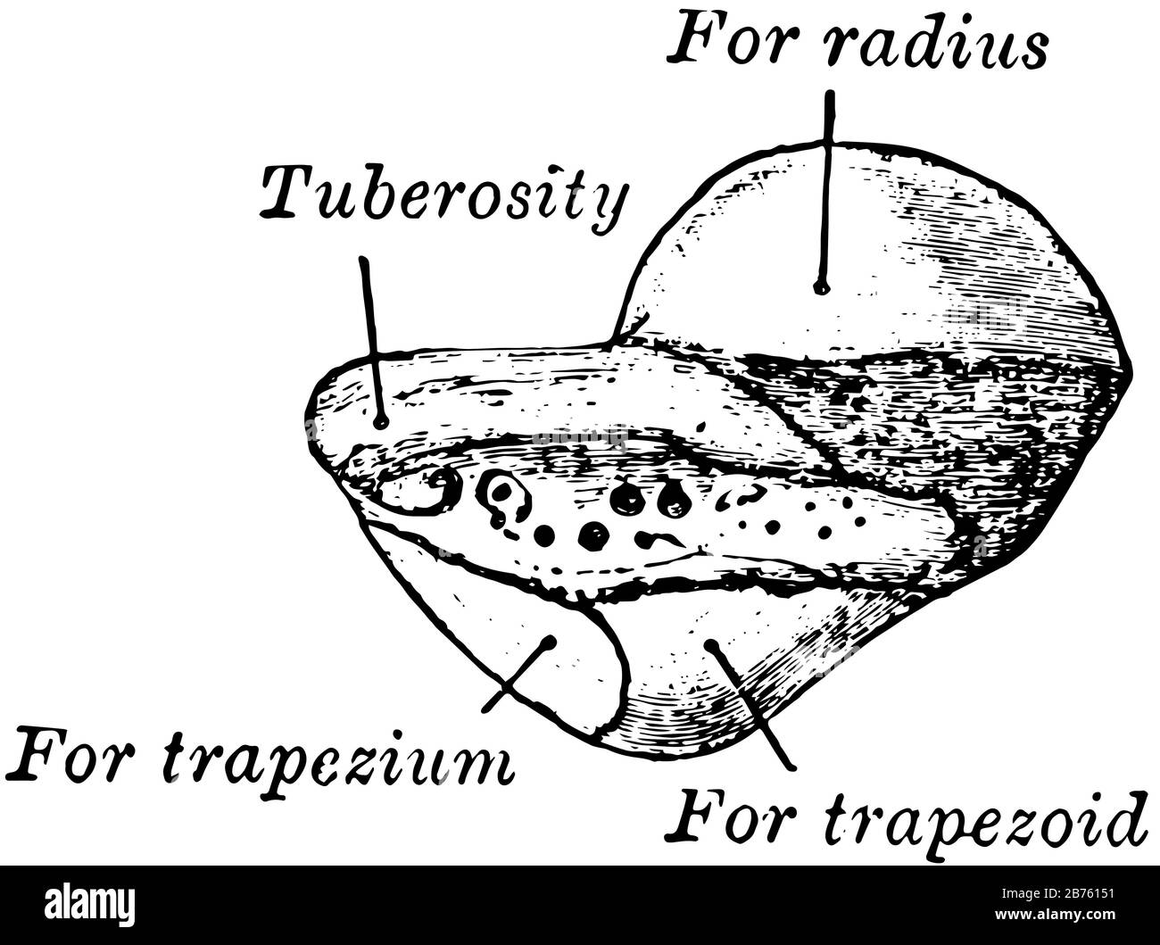 Diese Abbildung stellt die Linke Zeichnung Mit Schrecken, Vintage-Linien oder Gravurgravur dar. Stock Vektor