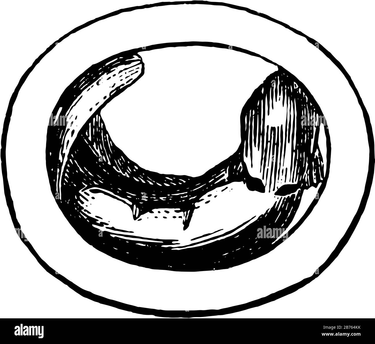 Embryo ist ein frühes Stadium der Entwicklung eines vielzelligen diploiden eukaryontischen Organismus, vintage Strichzeichnung oder Gravur Abbildung. Stock Vektor