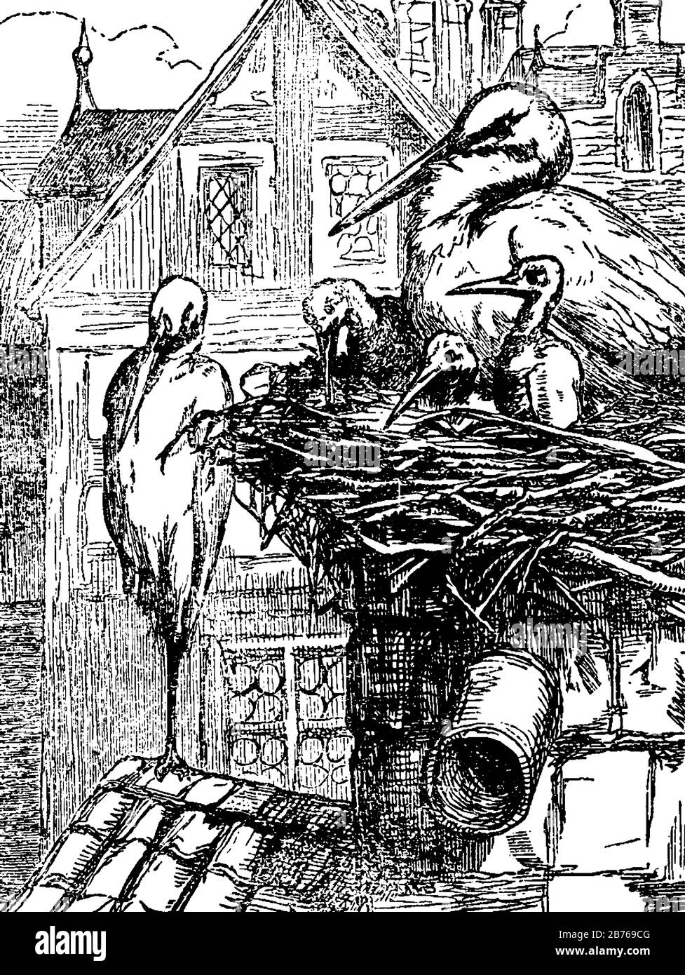 Der Storch mit Babystürken im Nest, Vintage-Linien-Zeichnung oder Gravier-Illustration Stock Vektor