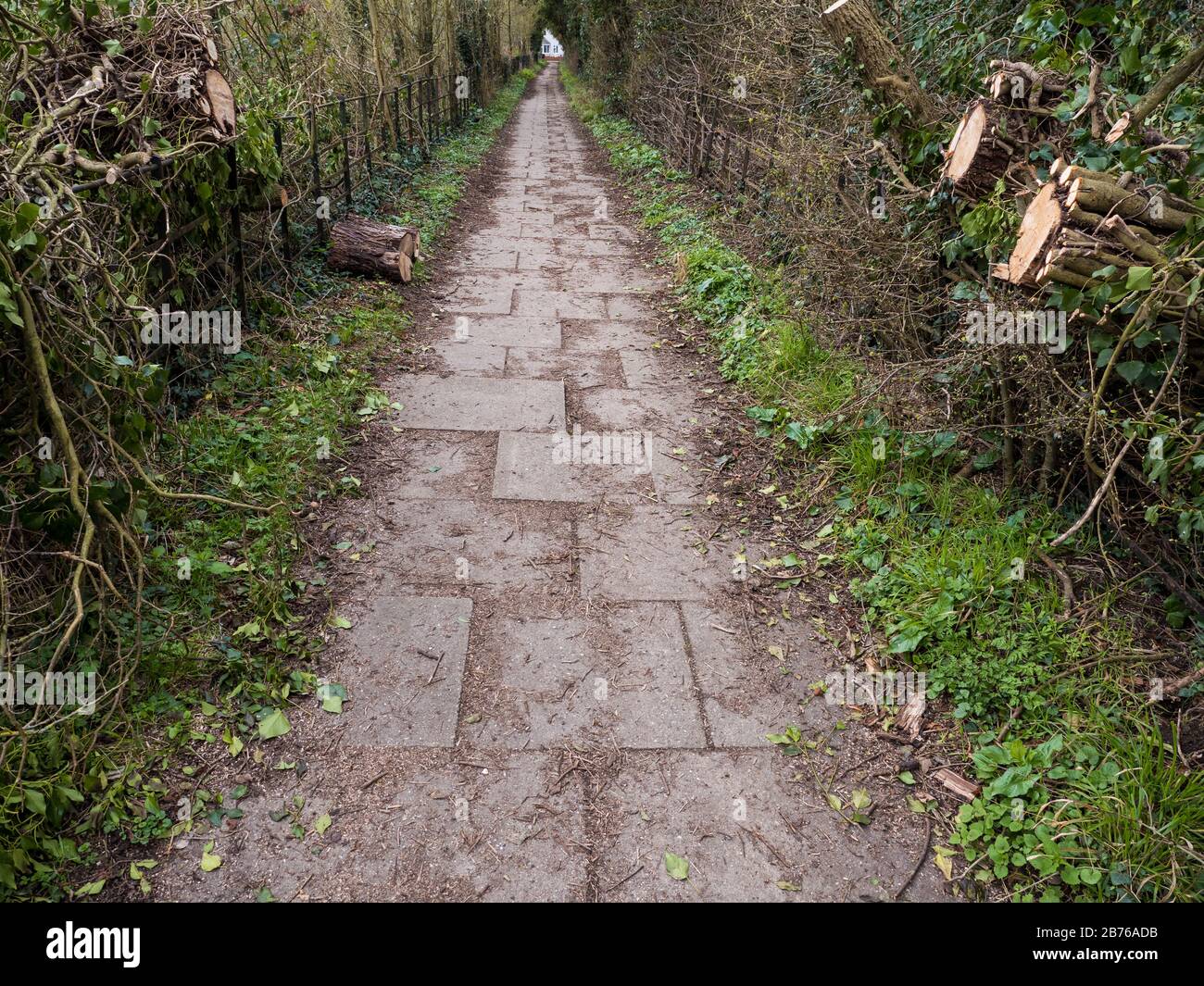 Ridgeway National Trail, Fußweg, uralter Trackway, Mongwell, Oxfordshire, England, Großbritannien, GB. Stockfoto