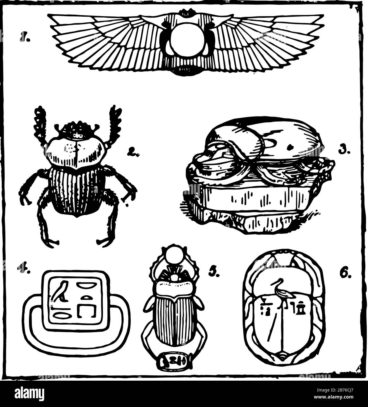 Ägyptische Skarabäen als Symbol für Unsterblichkeit, Vintage-Linien-Zeichnung oder Gravurdarstellung. Stock Vektor