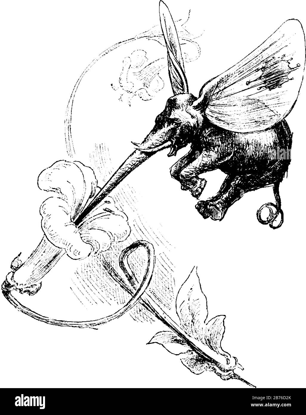 Ein Elefant mit langen Ohren in der Luft, der seinen Rüssel in die Blume steckt, Vintage-Zeichnung oder Gravurzeichnung Stock Vektor