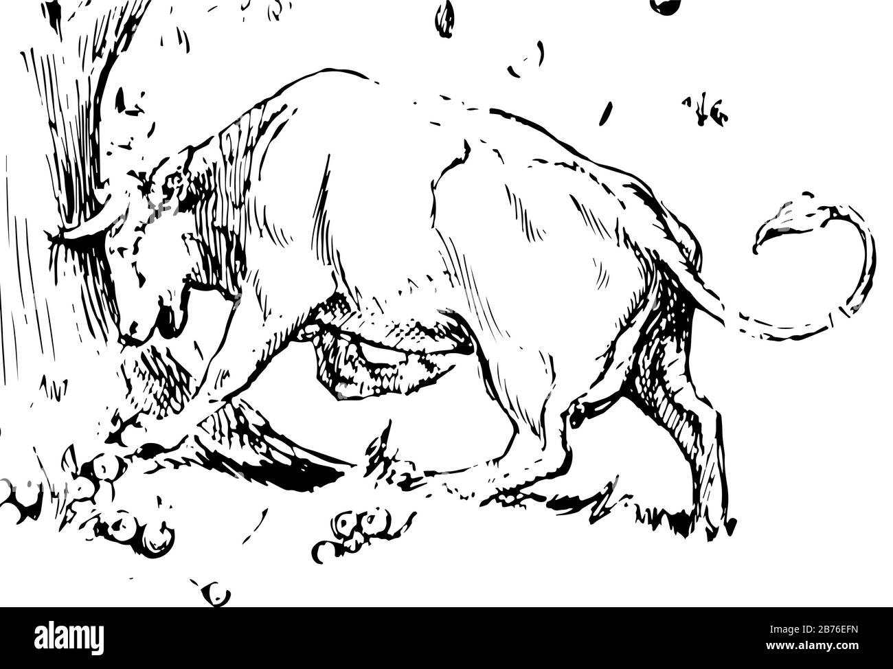 Miss Cow, diese Szene zeigt eine Kuh, die Hörner in einem Baum feststeckt, Vintage-Linien-Zeichnung oder Gravier-Illustration Stock Vektor