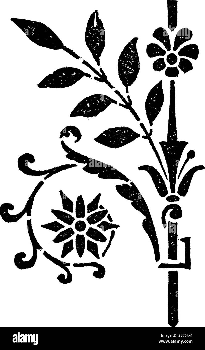Schablonen haben Blätter- und Blumenmuster, Vintage-Linien-Zeichnung oder gravurige Abbildung. Stock Vektor