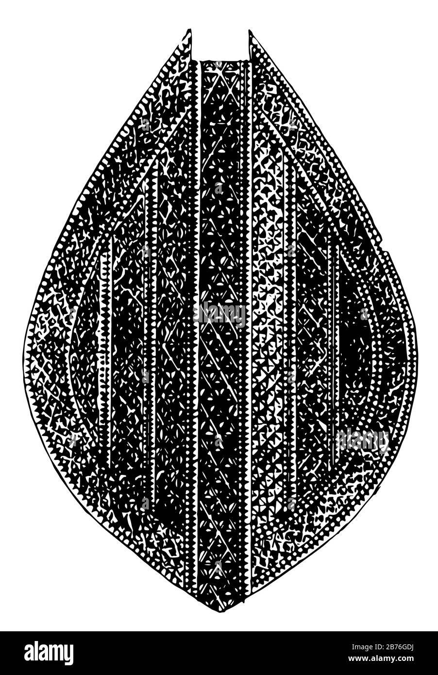 Maori-Paddel sind Holzschnitzereien, Vintage-Linien-Zeichnungen oder Gravurabbildung. Stock Vektor