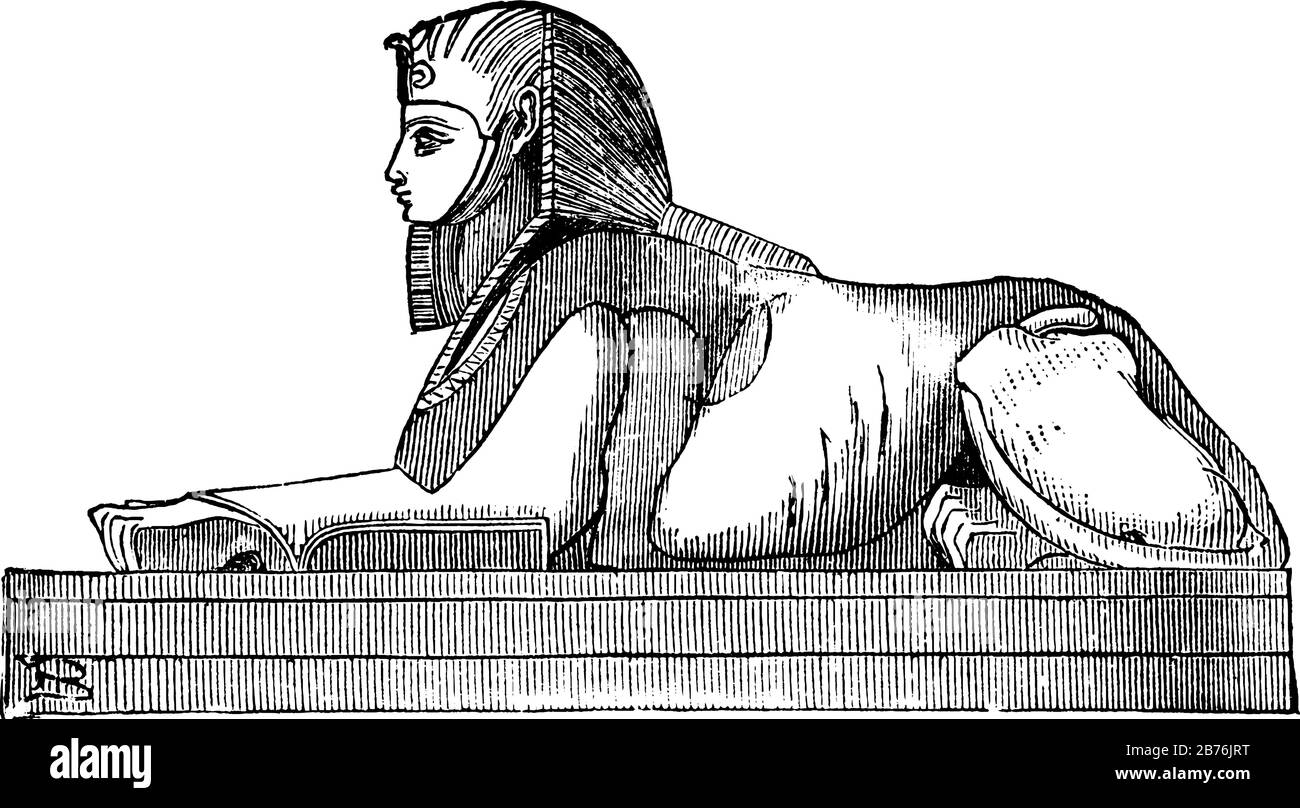 Sphinx, griechisches Wort bedeutet, strangiger, bestimmte symbolische Formen, ägyptischer Ursprung, bemerkenswerteste, klassische Strichzeichnung oder Gravur, die illustriert ist Stock Vektor