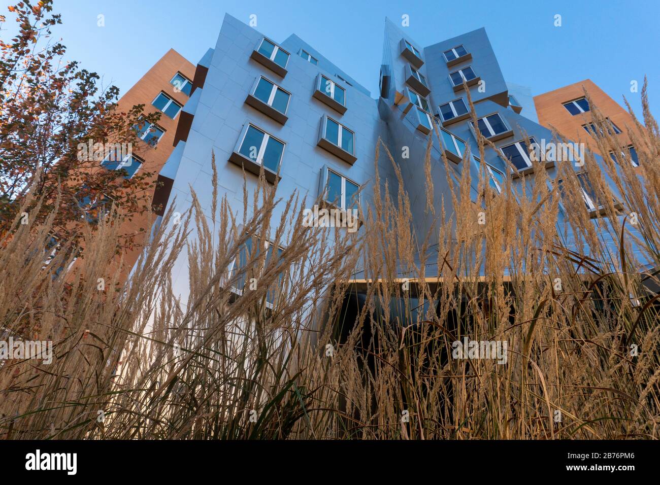 Boston - Cambridge MA 11-2019. - massachusetts Institut für Technologie Stockfoto