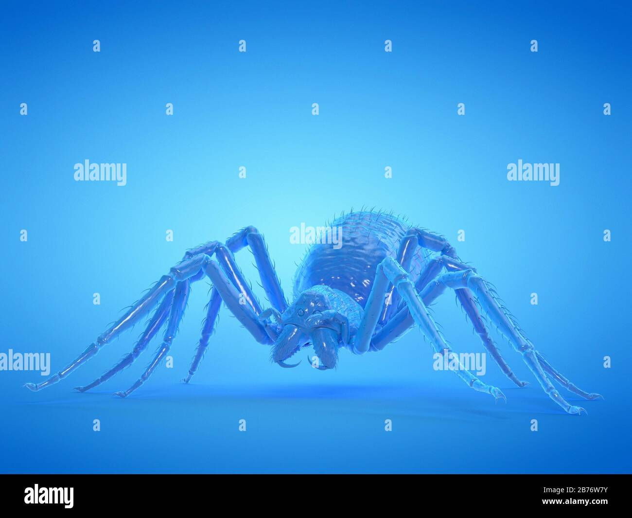 Spider, Computerabbildung. Stockfoto