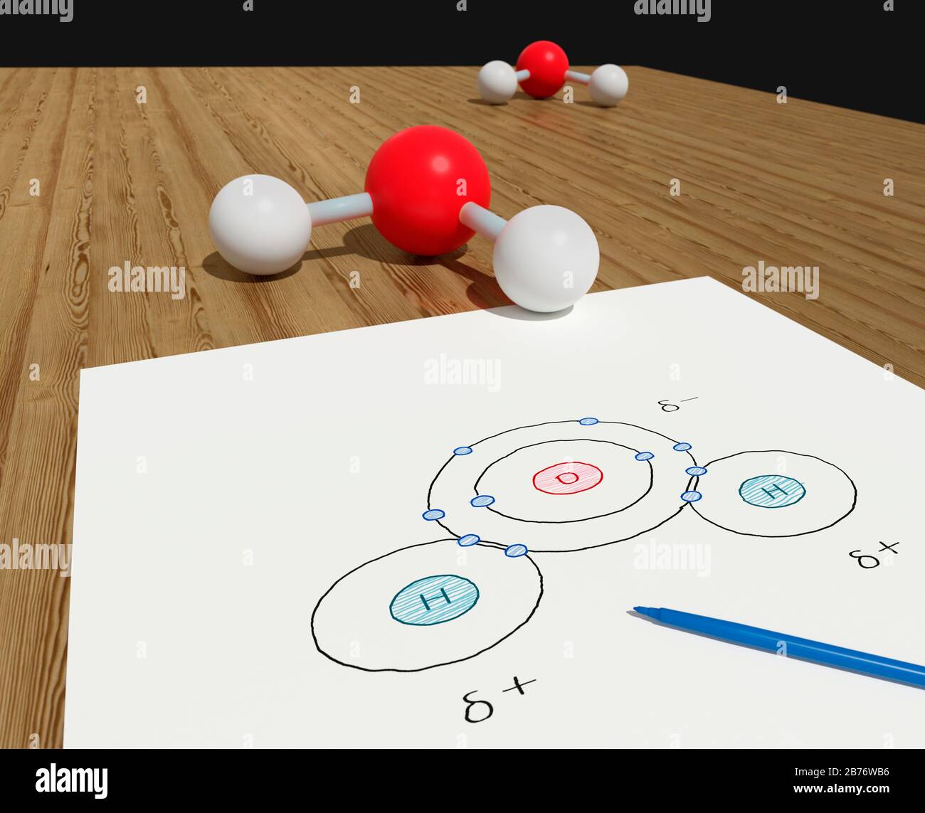 Modell- und Atomdiagramm mit kovalenten Bindungen von Wassermolekülen. Das Molekül hat einen Sauerstoff und zwei Wasserstoffatome. Das Diagramm zeigt die Polarität eines Wassermoleküls - positive und negative Ladungen sind ungleichmäßig verteilt. Stockfoto