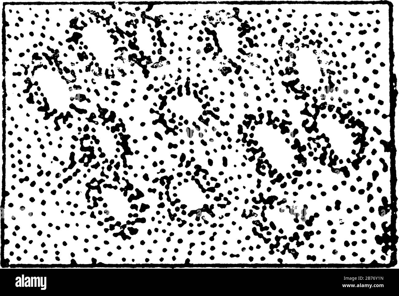 Die Darstellung der Sanddünen, auf einer topografischen Karte, Vintage-Linien-Zeichnung oder Gravurdarstellung. Stock Vektor