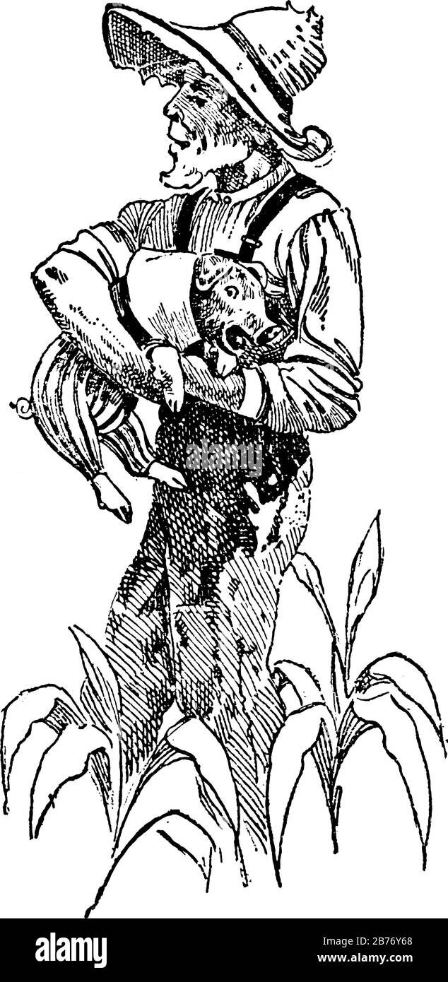 Das Bild zeigt einen Bauern, der ein Ferkel mit einem großen Kopf, langen Schnauzenspitzen, kleinen abgerundeten Ohren und einem borstigen spärlichen Haar trägt, Vintage li Stock Vektor