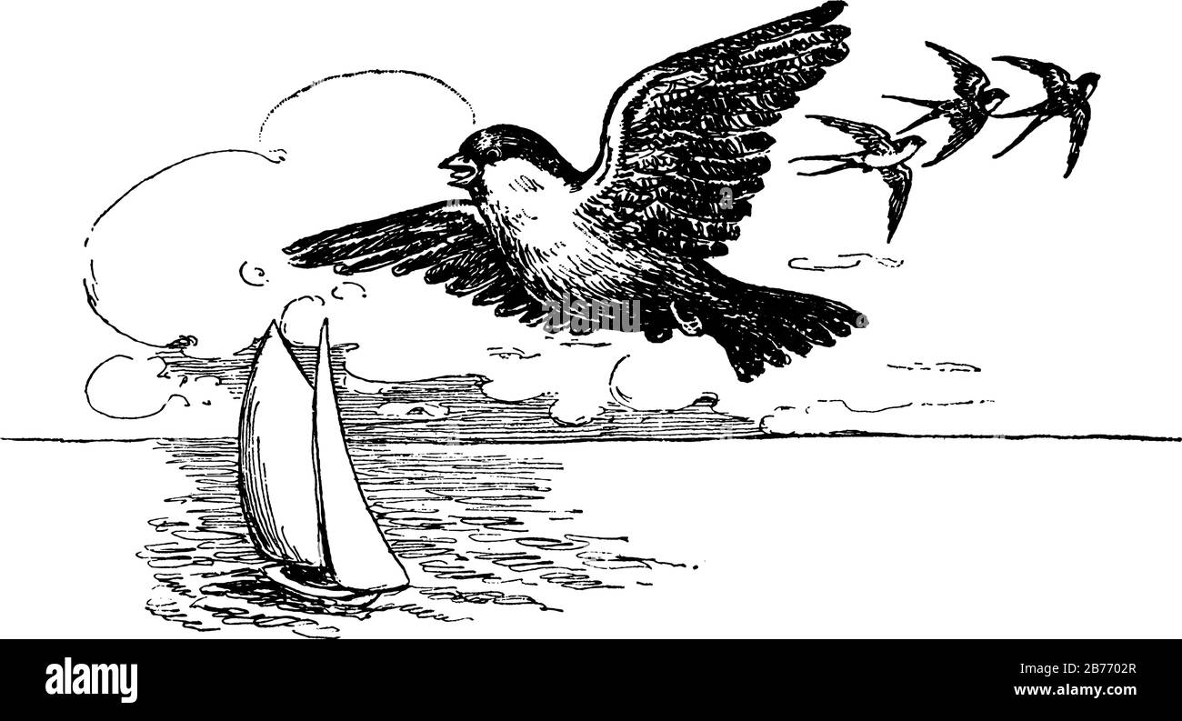 Sparrow ist ein kleiner Singvogel in der Familie der Passerida, Vintage-Line-Zeichnung oder Gravier-Illustration. Stock Vektor