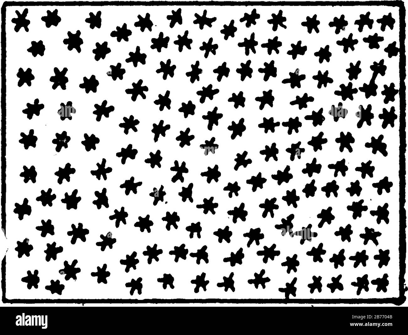 Die typische Darstellung von schmalen, blättrigen Bäumen oder Kiefern auf einer topografischen Karte, Vintage-Linien-Zeichnung oder Gravurdarstellung. Stock Vektor