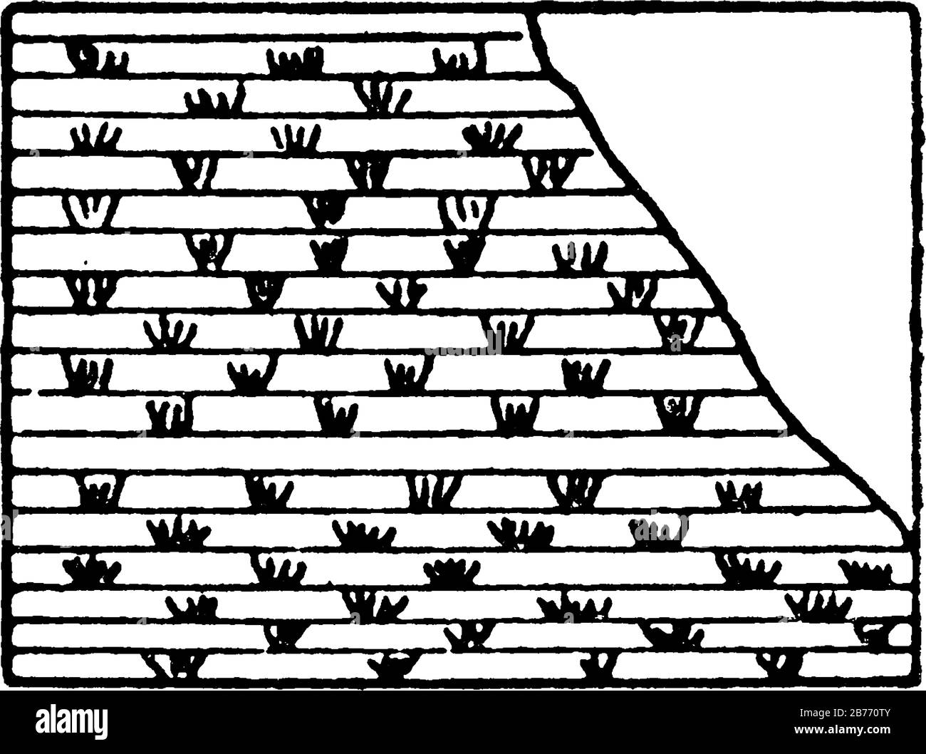 Die Darstellung des Salzmarsches, auf einer topografischen Karte, Vintage-Linien-Zeichnung oder Gravurdarstellung. Stock Vektor