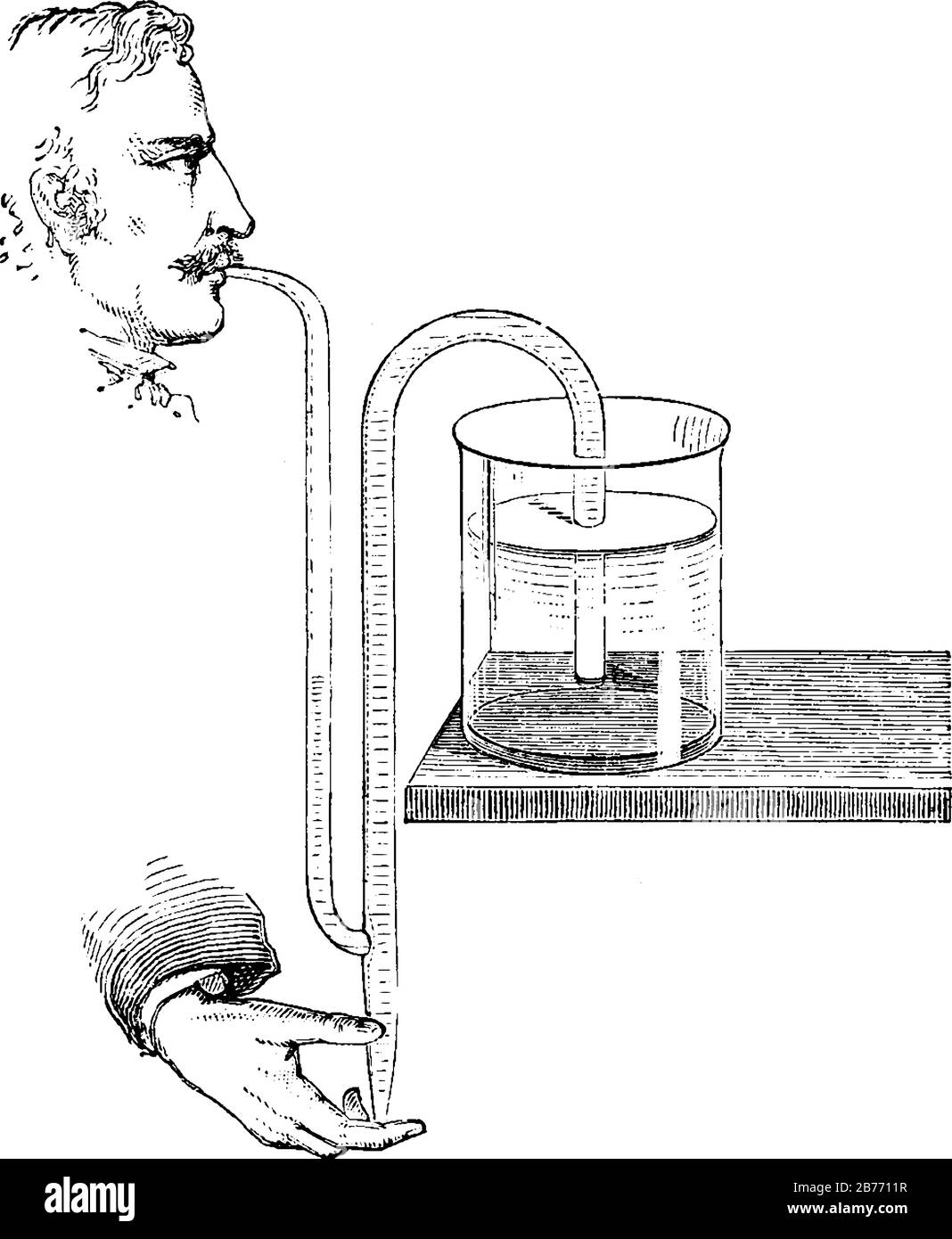 Ein Mann mit Schnurrbart, saugt Wasser durch das Rohr mit der unteren Öffnung, um mit Siphon, Vintage-Linie oder Gravierzeichnung zu beginnen. Stock Vektor