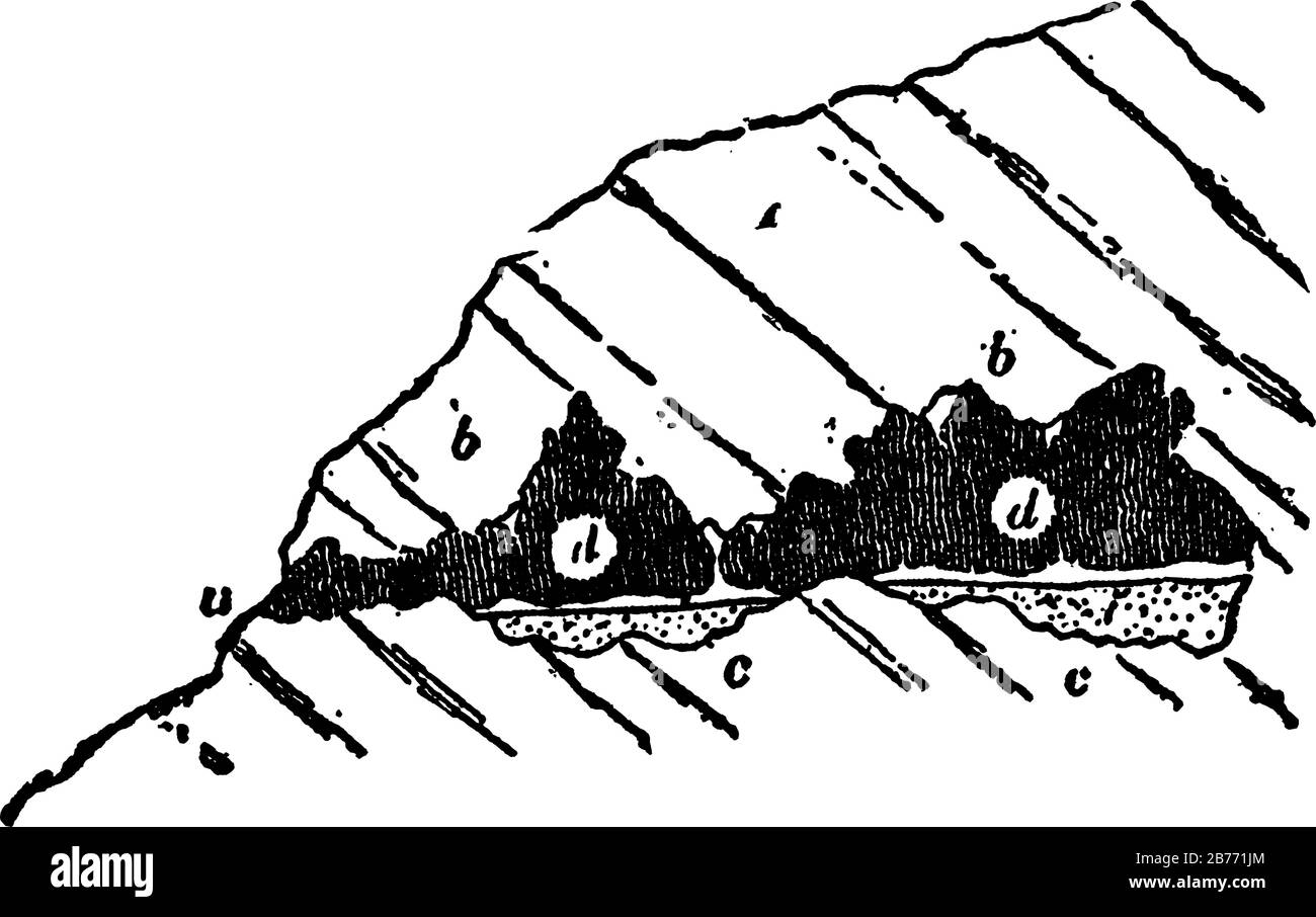Ein Kalkhügel, der durch eine Höhle (b b) perforiert ist, die durch eine Öffnung (a) mit dem Tal (V) kommuniziert, der Boden mit einem ossiferen Lehm bedeckt, vint Stock Vektor
