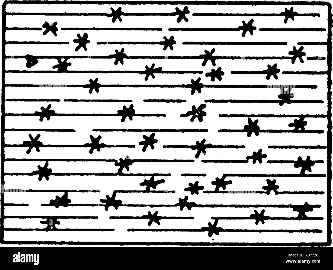Die Darstellung der Zypress-Sumpfmarschen, auf einer topografischen Karte, Vintage-Linien-Zeichnung oder Gravurdarstellung. Stock Vektor