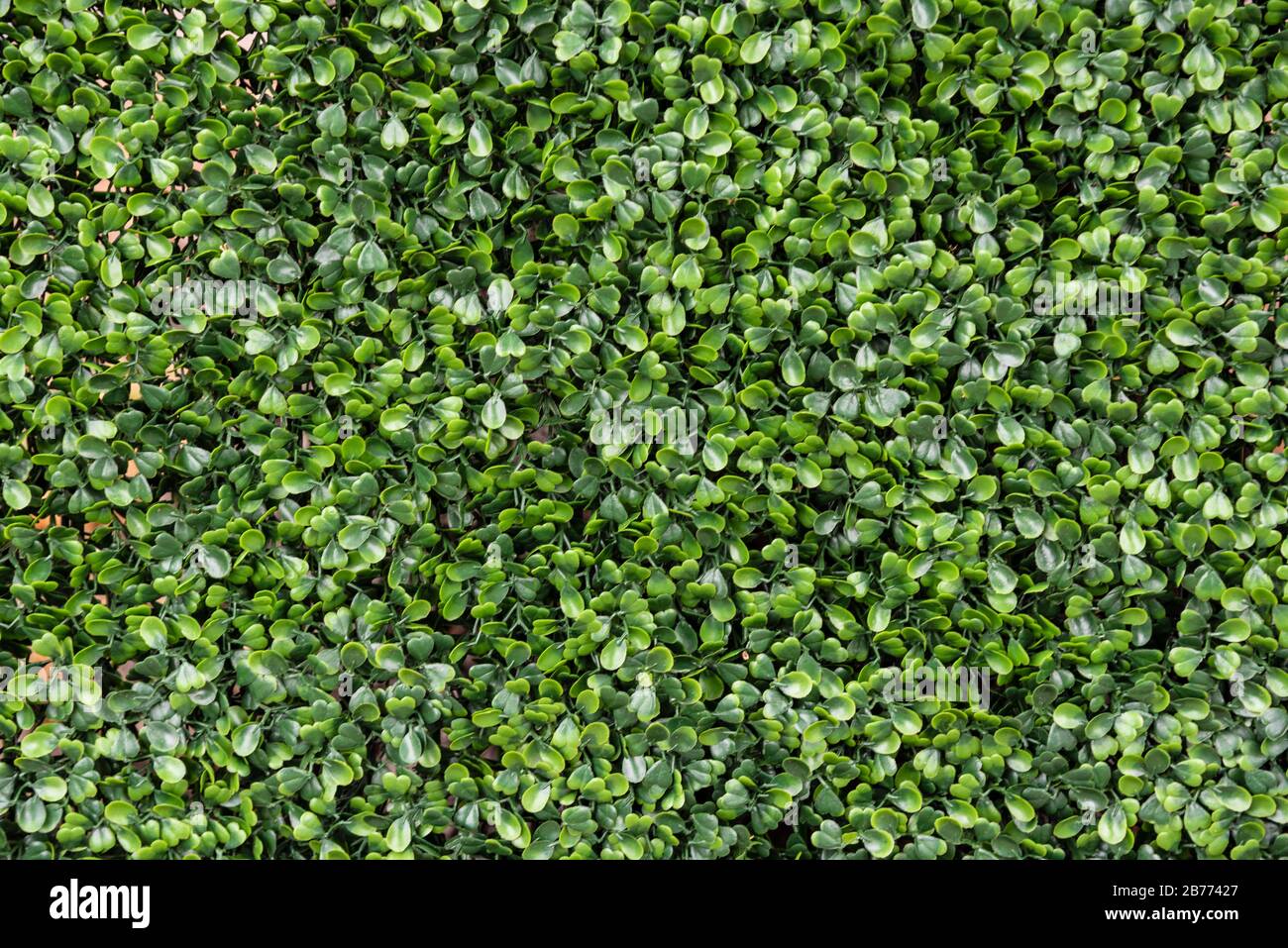 Grüner Kunstrasenhintergrund für Grafikdesign Stockfoto