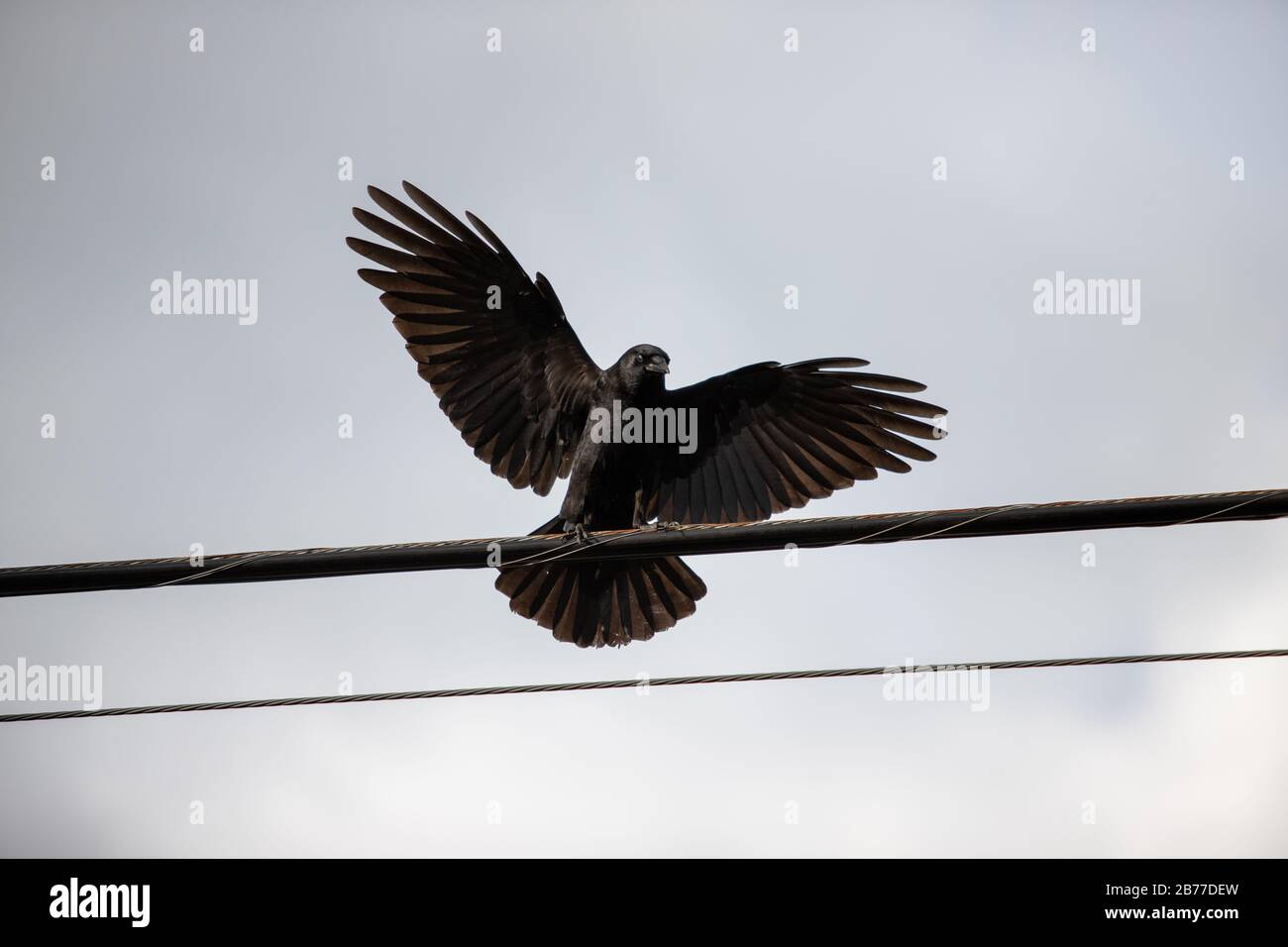 Versuchter Mord Stockfoto