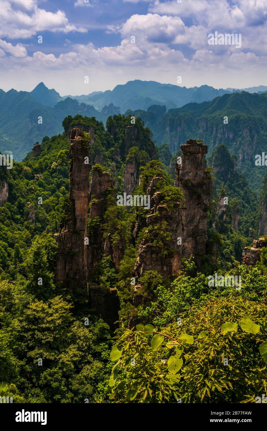 Blick in die Scenic and Historic Interest Area von Wulingyuan in der Provinz Hunan, China. Die Gegend war angeblich eine Inspiration für die Landschaft im Avatar-Film. Stockfoto