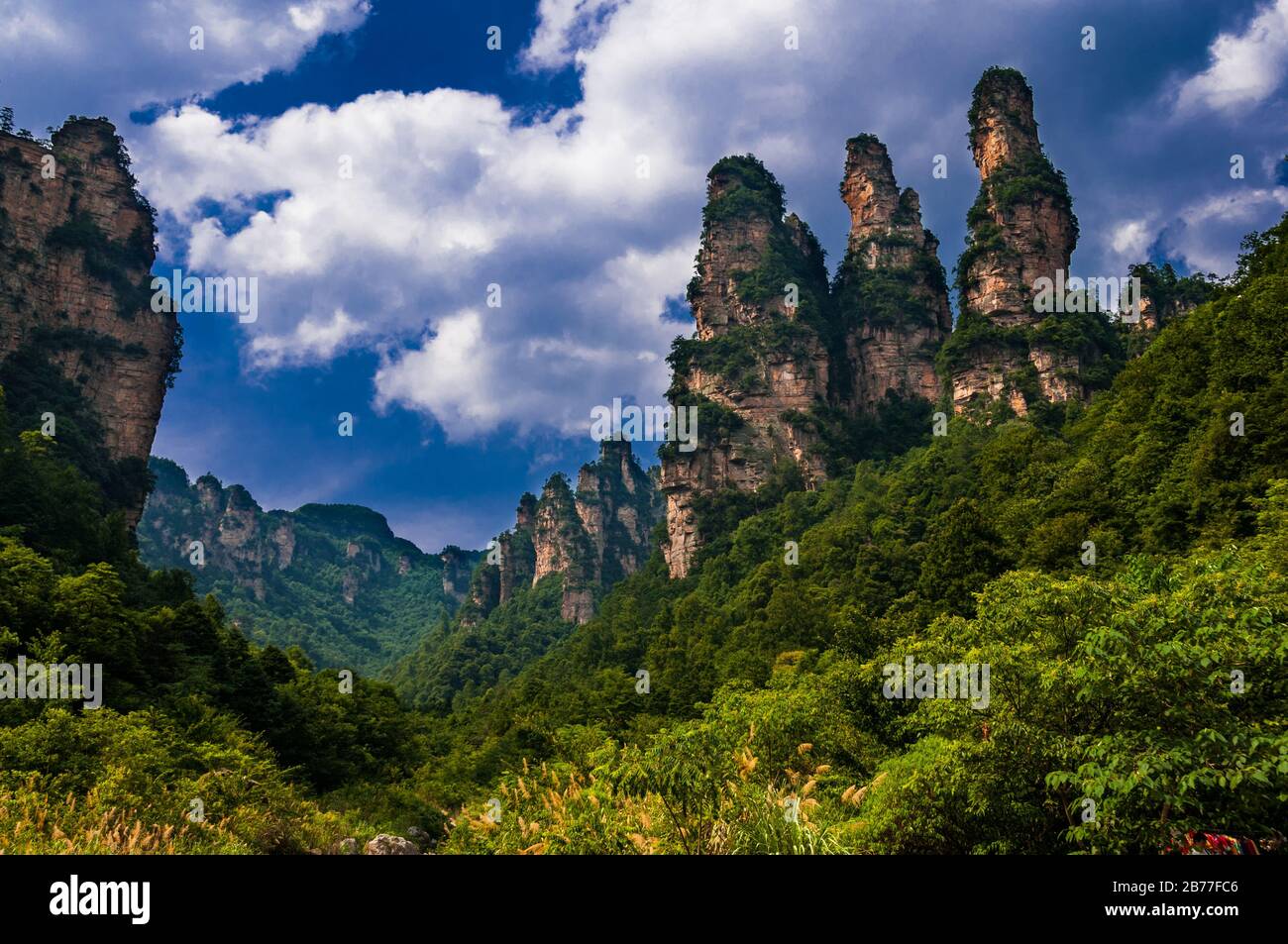 Drei Schwestern Peak bei Zhangjiajie im Nationalpark am Landschaftspark Wulingyuan gelegen. Der Provinz Hunan, China. Stockfoto