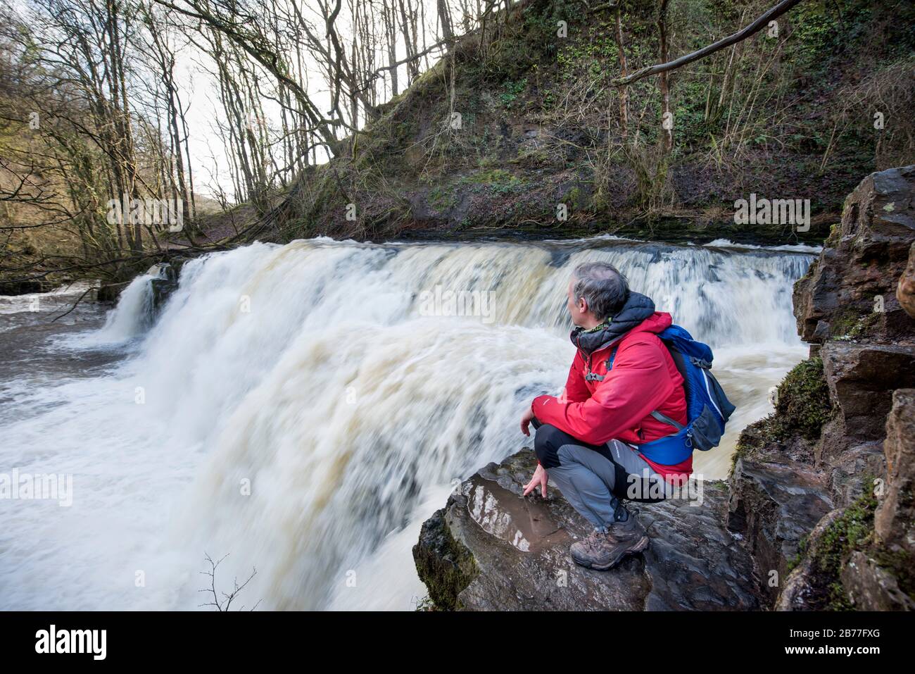Ein Wanderer beobachtet den Wasserfluss auf dem Fluss Melle am Sgwd y Pannwr fällt bei Pontneddfechan in den Brecon Beacons, Wales UK Stockfoto