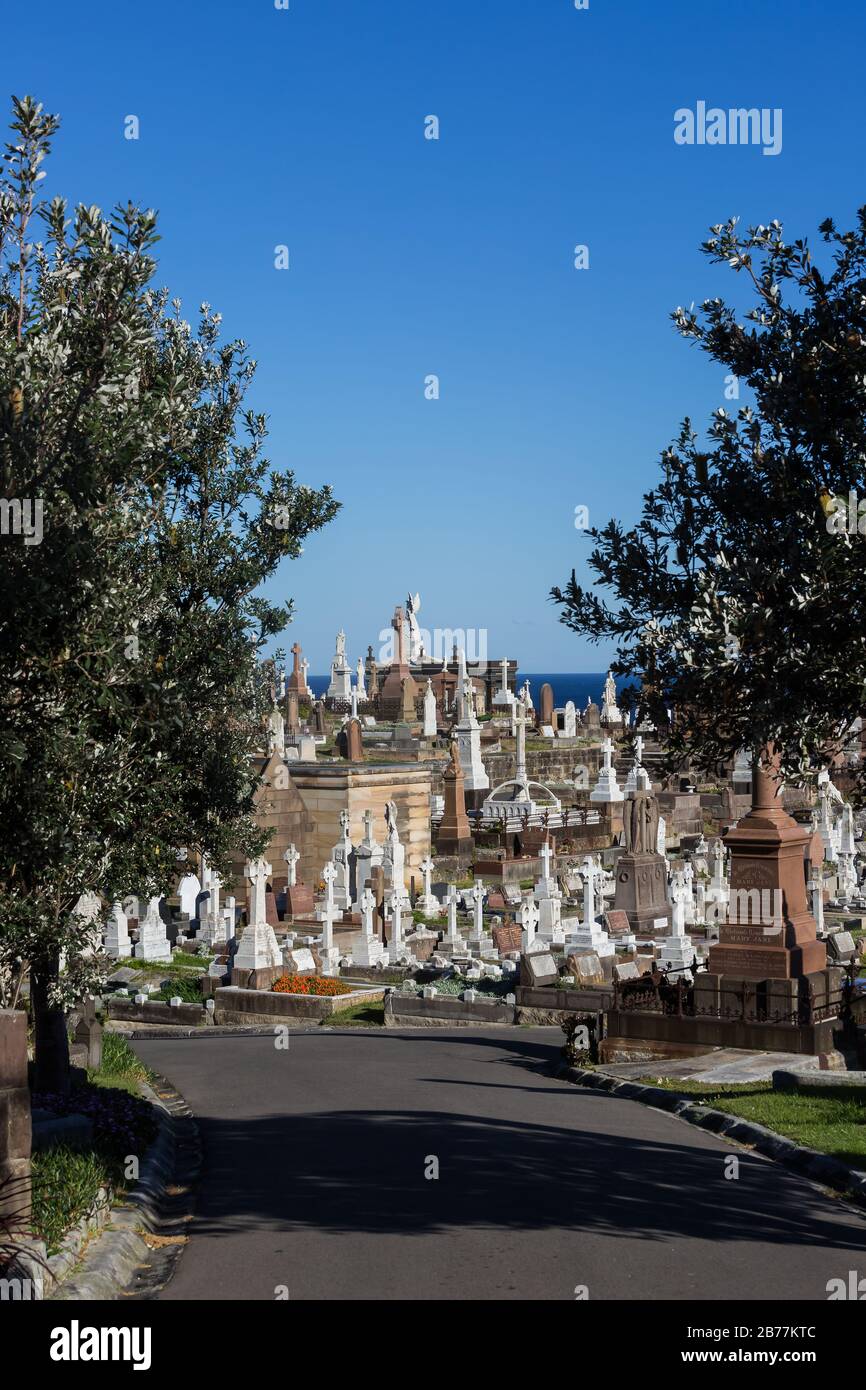 Die Waverley Cemetry ist eine unter Denkmalschutz stehende Cemetrie auf den Klippen in Bronte in den östlichen Vororten von Sydney, NSW, Australien. Die Küstenwanderung wa Stockfoto