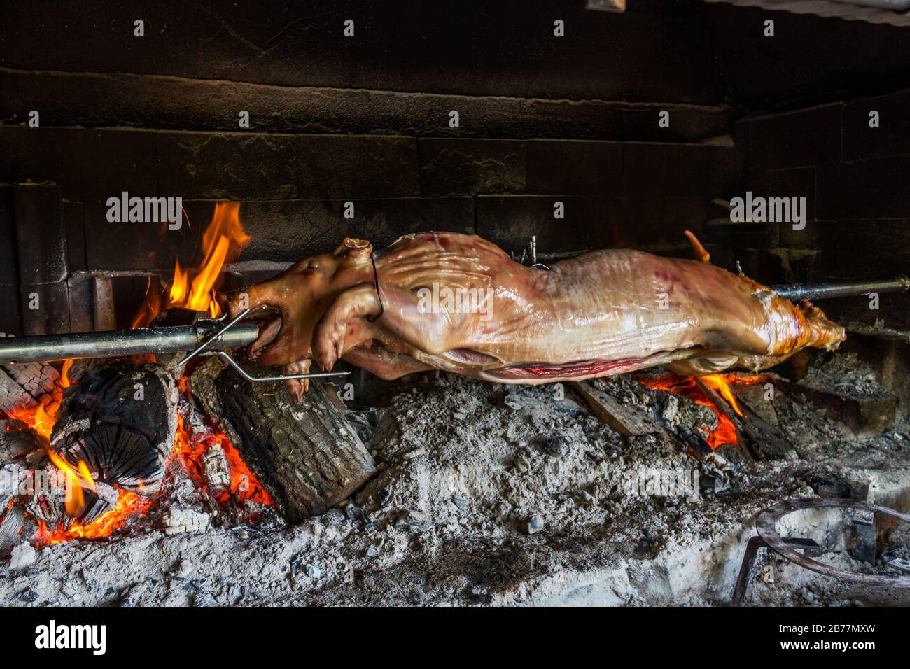 Das saugende Schwein wird auf einem Spieß über offenem Feuer auf den Holzofen geröstet. Stockfoto