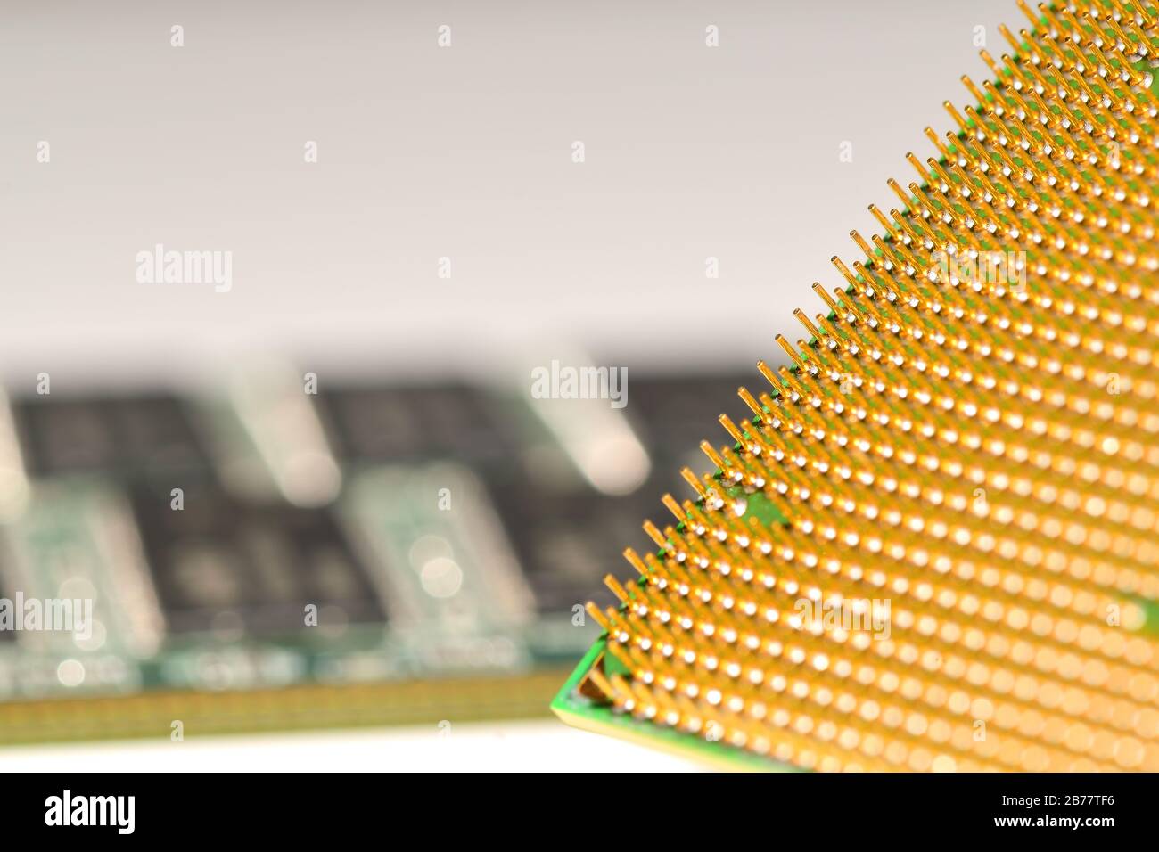 CPU mit einem Speicher im Hintergrund. Zentrale Prozessoreinheit. Goldene Stifte eines Prozessors. Stockfoto