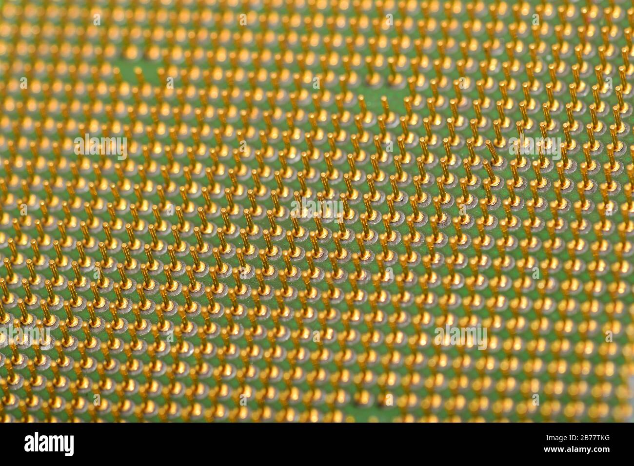 Pins einer zentralen Prozessoreinheit. Geringe Schärfentiefe. Unterseite der CPU. Stockfoto