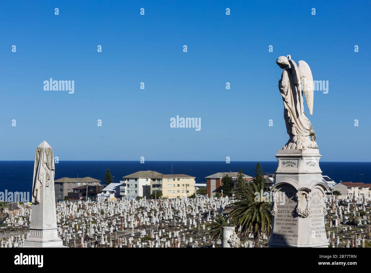 Die Waverley Cemetry ist eine unter Denkmalschutz stehende Cemetrie auf den Klippen in Bronte in den östlichen Vororten von Sydney, NSW, Australien. Die Küstenwanderung wa Stockfoto