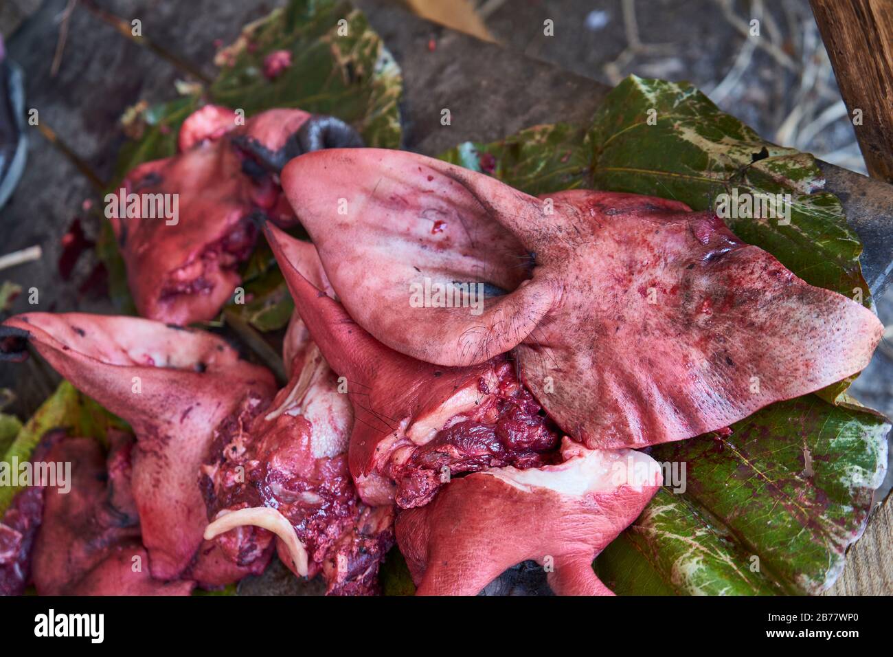 Schweineohren, Markt von Demoso, nahe Loikaw, Kayah-Staat, Myanmar Stockfoto