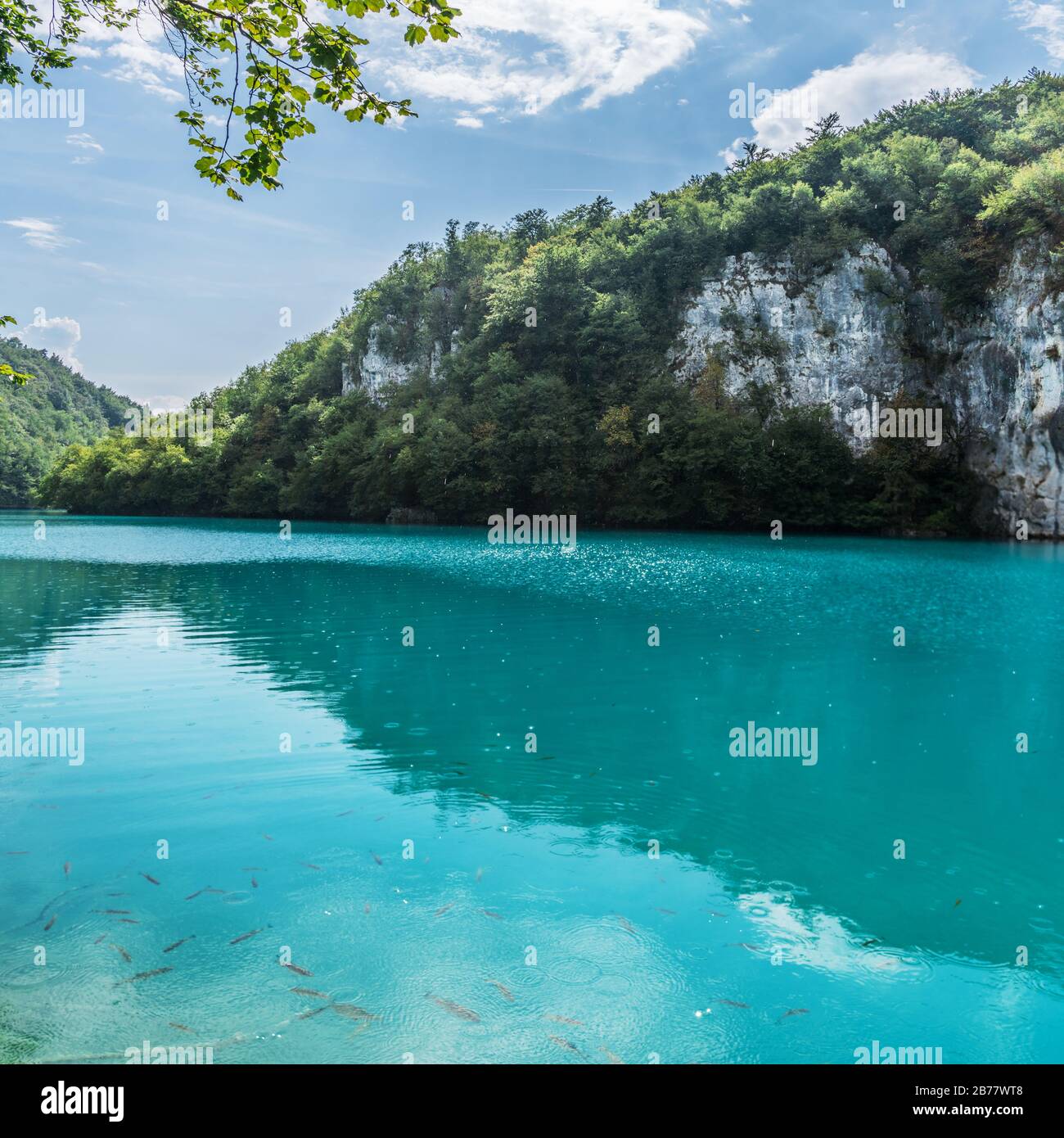 Der Nationalpark Plitvicer Seen ist einer der ältesten und größten Nationalparks in Kroatien und UNESCO-Weltkulturerbe. Schöner See im Park. Tra Stockfoto