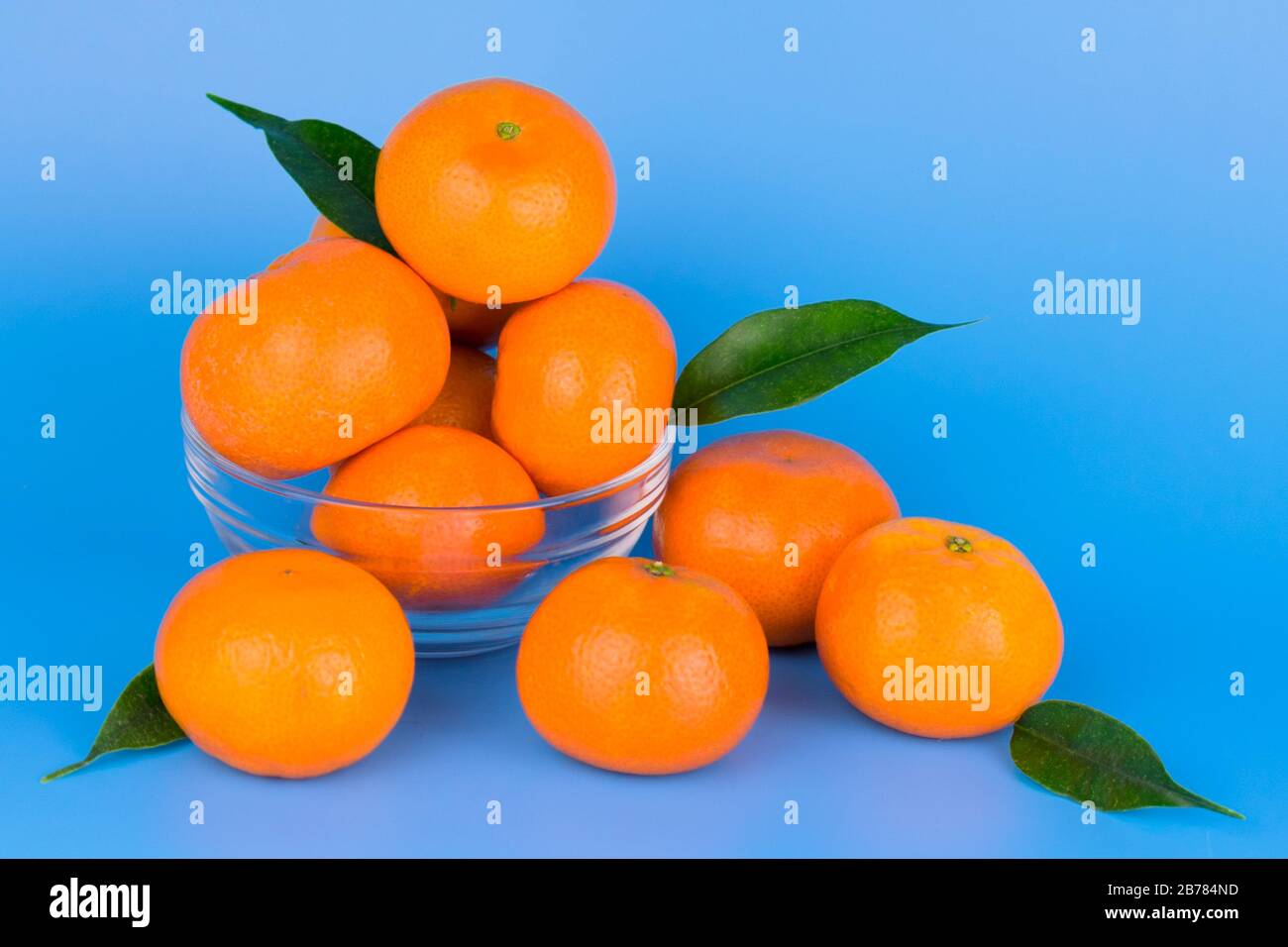Mandarinen mit Blättern auf blauem Hintergrund.Nahaufnahme. Stockfoto