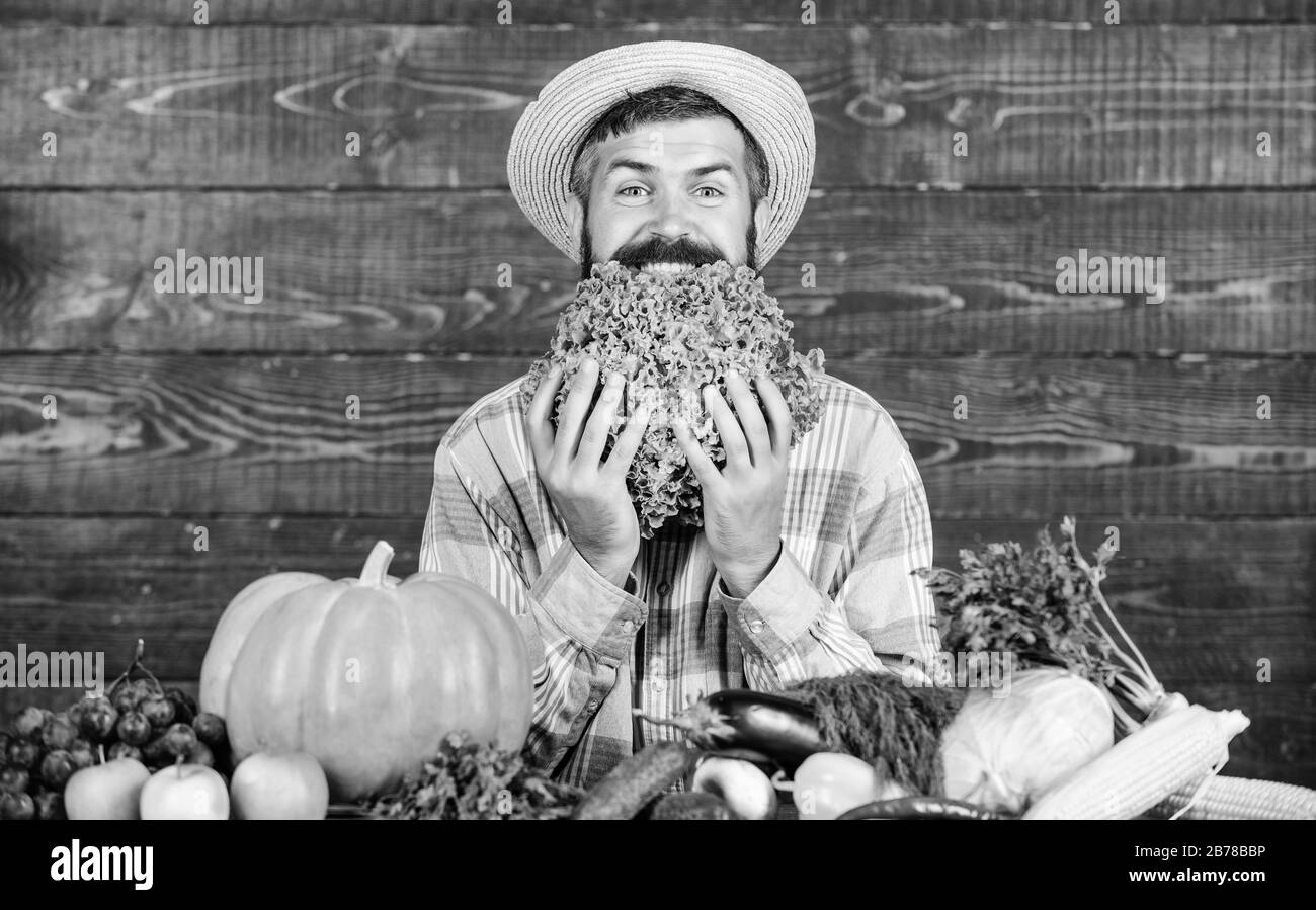 Kochen mit Leidenschaft. saisonale Vitamin essen. Nützliche Obst und Gemüse. bärtigen reife Landwirt. Harvest Festival. organische und natürliche Lebensmittel. happy halloween. man-Chef mit reichen Herbst Ernte. Stockfoto