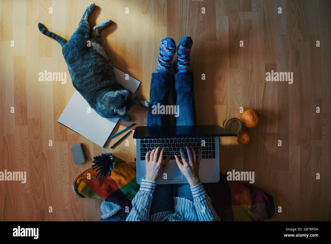 Kreativer Heimarbeitplatz - Arbeit vom Heimkonzept - Mädchen mit Katze Stockfoto